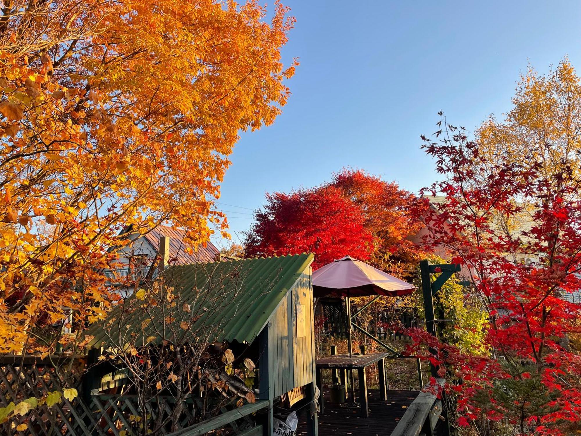 Gallery Hara And Guest House 외부 사진